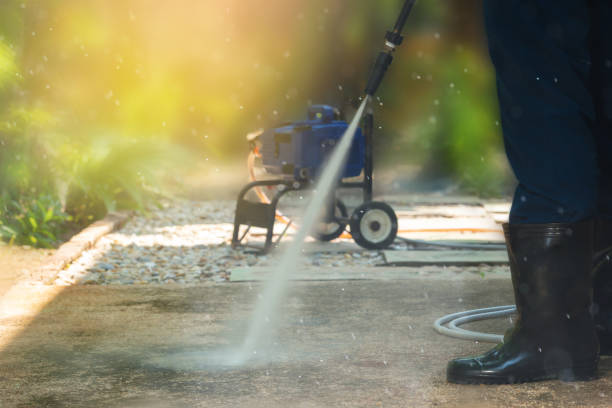 Best Residential House Exterior Washing  in Mount Prospect, IL